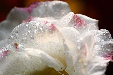 Xbox商店惊现假冒《NBA 2K23》游戏 至少两人上当给差评